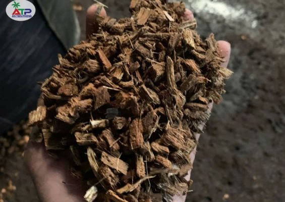 Vỏ dừa cắt