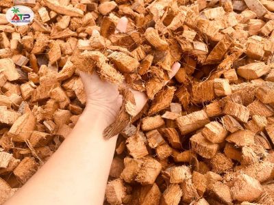 coconut husk chips