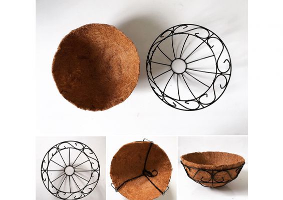 Chậu xơ dừa
