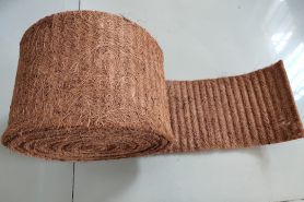 bang-dua-04.jpg