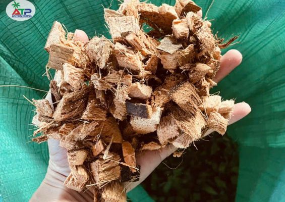 Vỏ dừa cắt