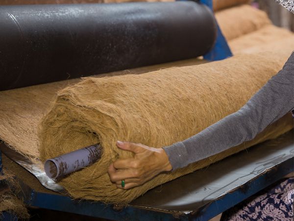 Coconut production in the world – Prospects for Vietnam's coconut industry