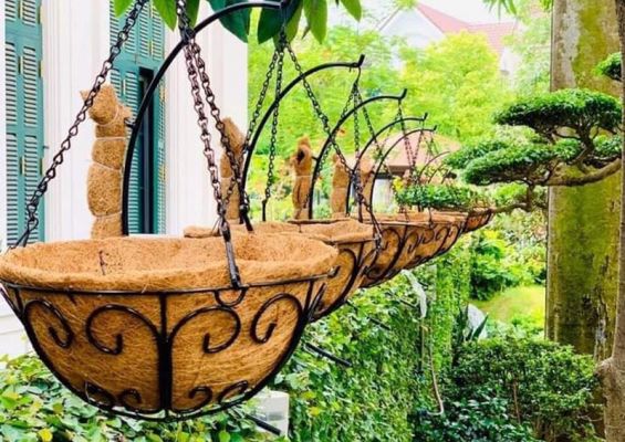 Chậu xơ dừa