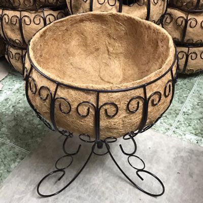 Chậu xơ dừa