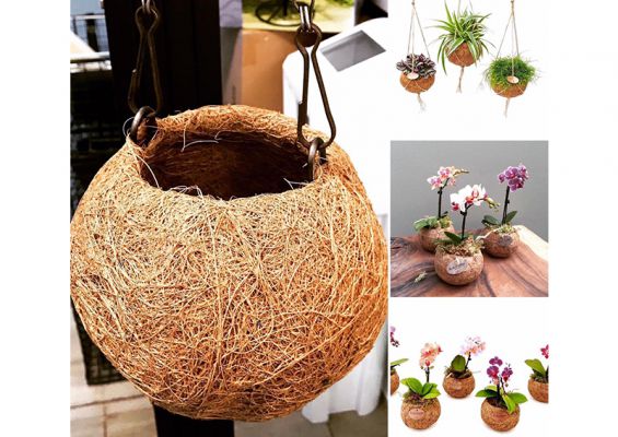 Coconut coir pots