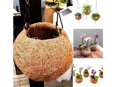 Coconut coir pots