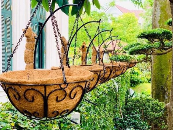 Coconut coir pots - The trend of growing environmentally friendly plants