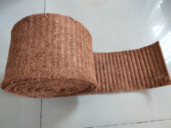 bang-dua-04.jpg