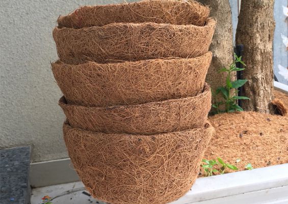 Coconut Coir Pots