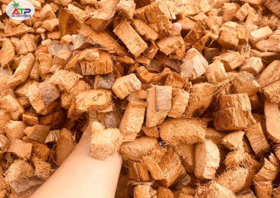 Vỏ dừa cắt
