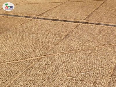 Coconut fiber sunshade