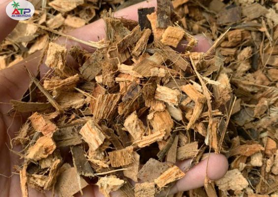 Vỏ dừa cắt