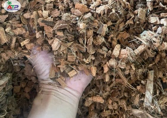 Vỏ dừa cắt